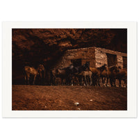 9af63d17-6a5e-4856-afad-ac49fa221fe8