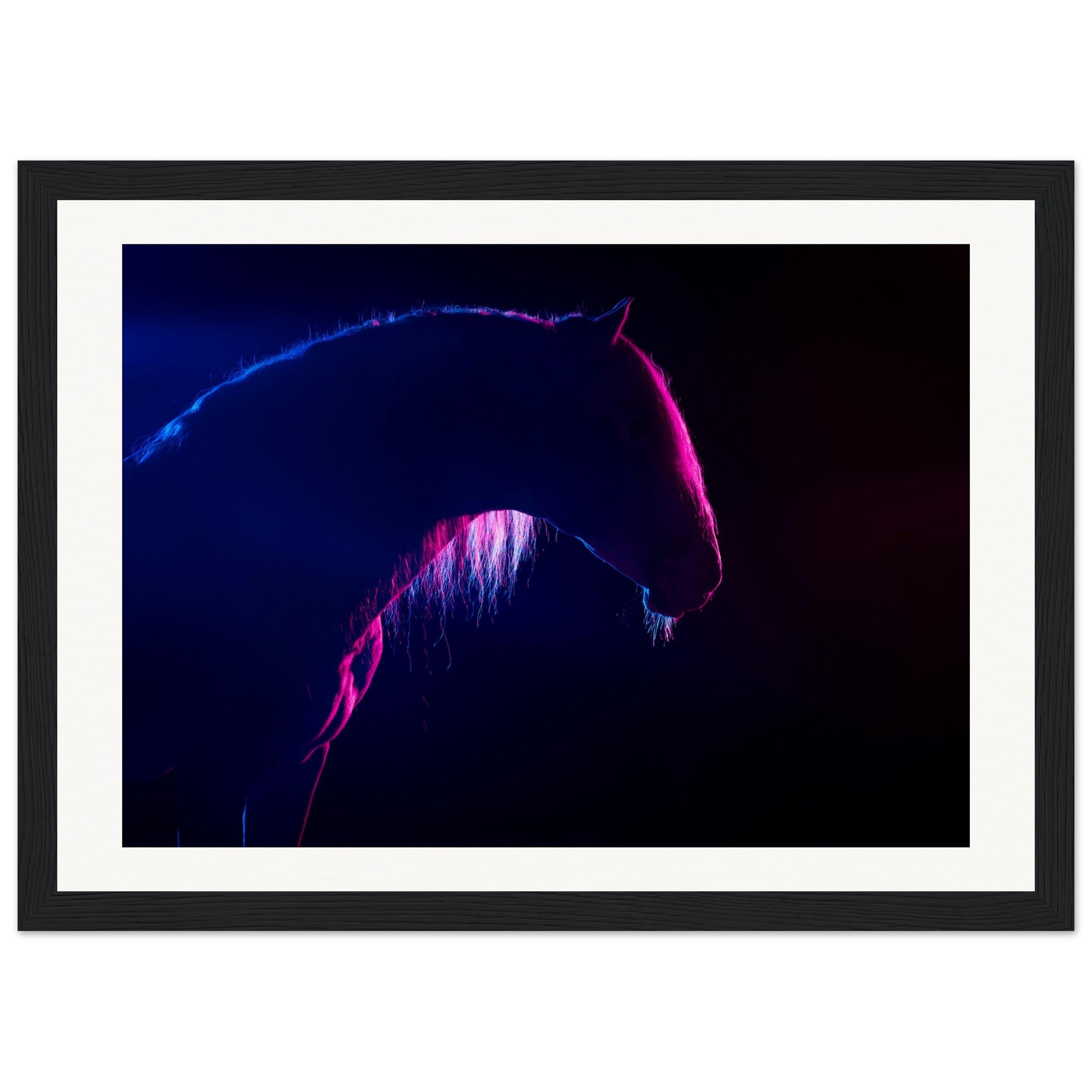 9b242b68-d3f9-42c4-83a6-d323dbf1fa19