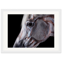 9b4f6c05-b699-46e4-a843-f0fca1a7eb26