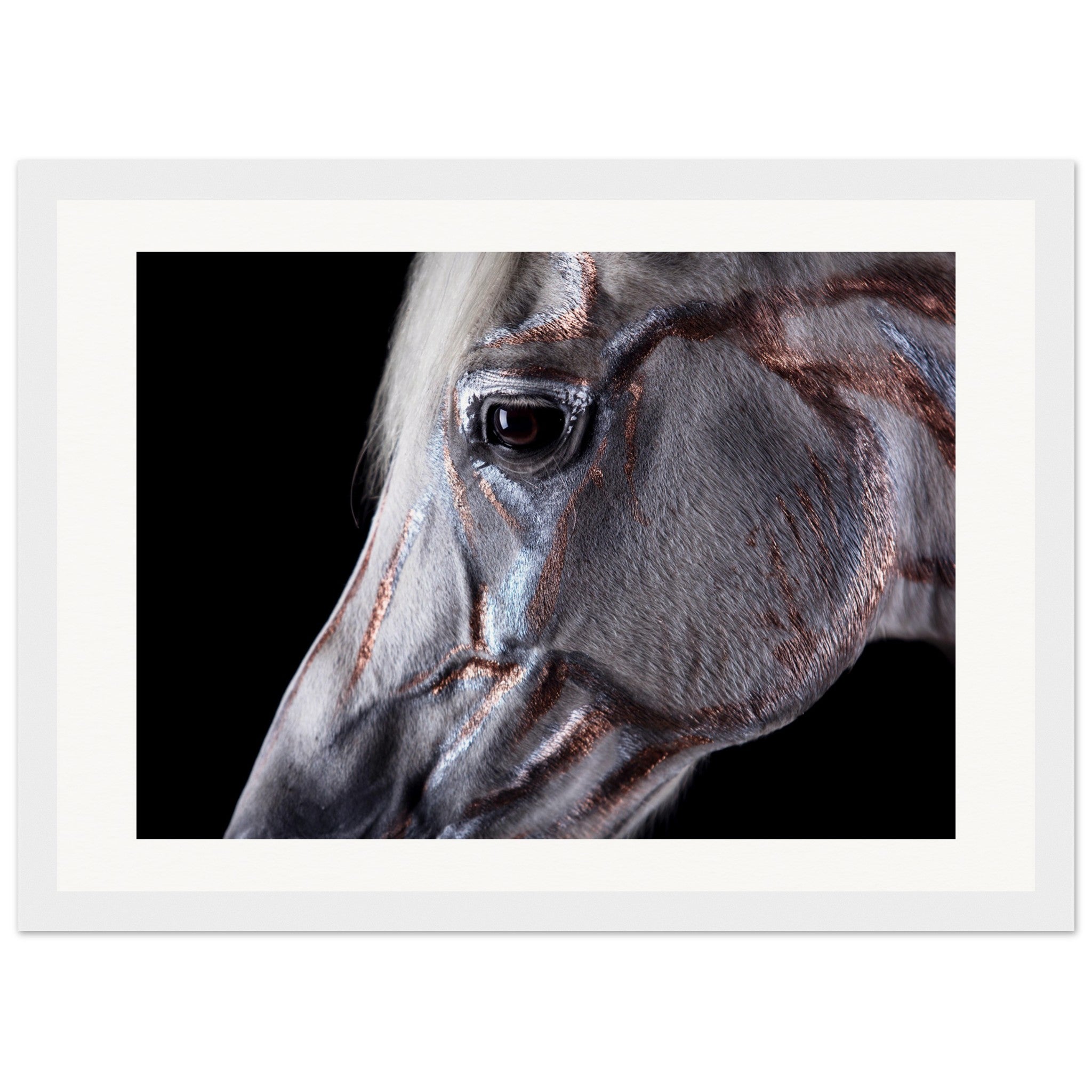 9b4f6c05-b699-46e4-a843-f0fca1a7eb26