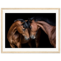 9b878d98-2488-498e-8222-346a32d92620