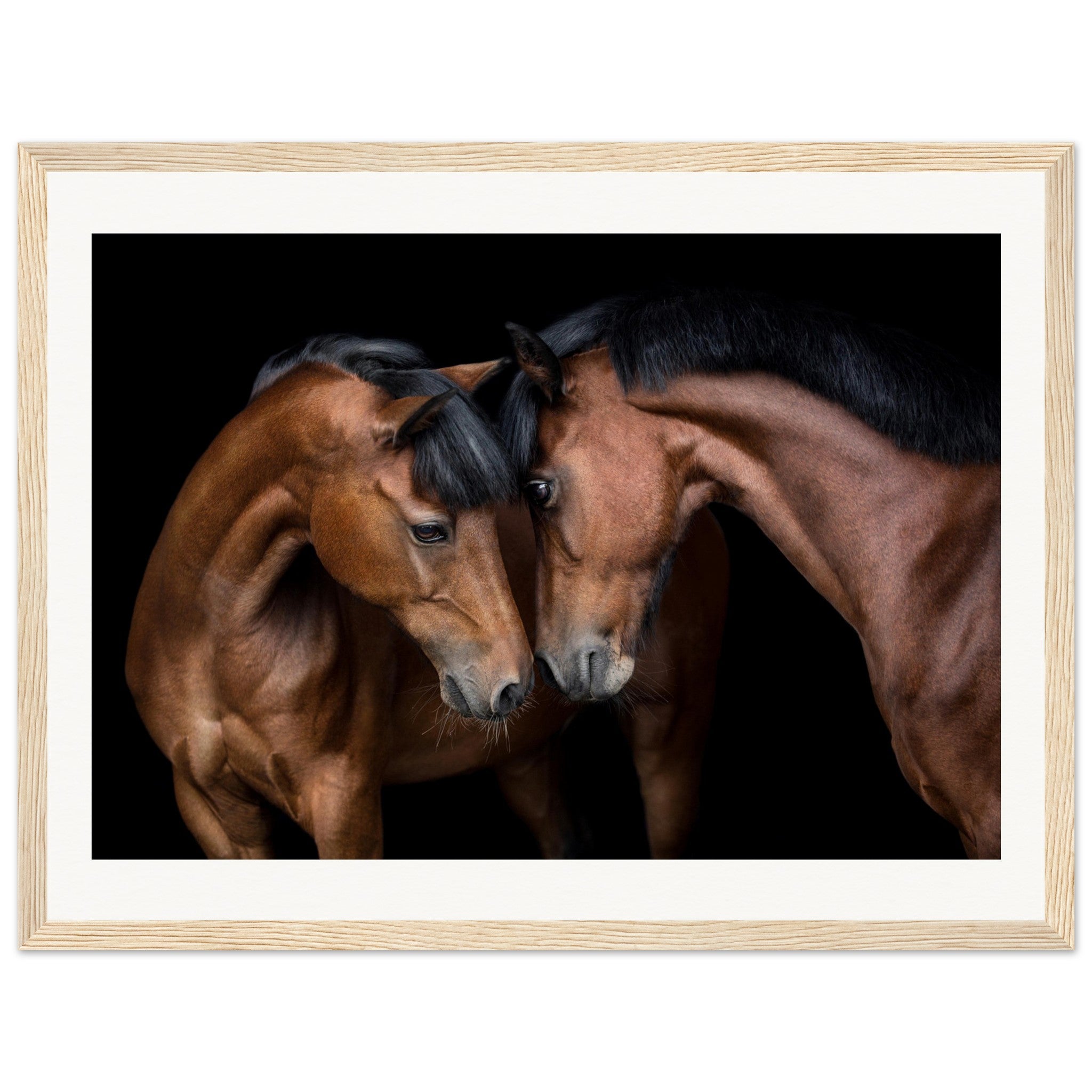 9b878d98-2488-498e-8222-346a32d92620