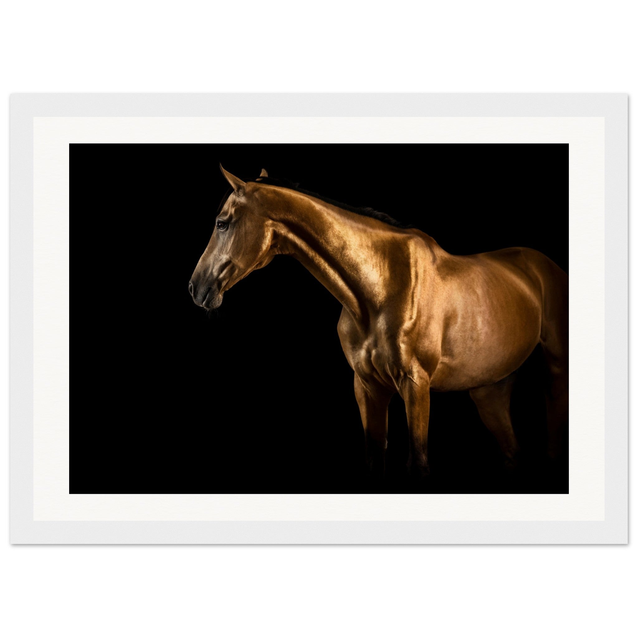 9be0d85e-aede-4e7d-b4f4-bfd30e6452ce