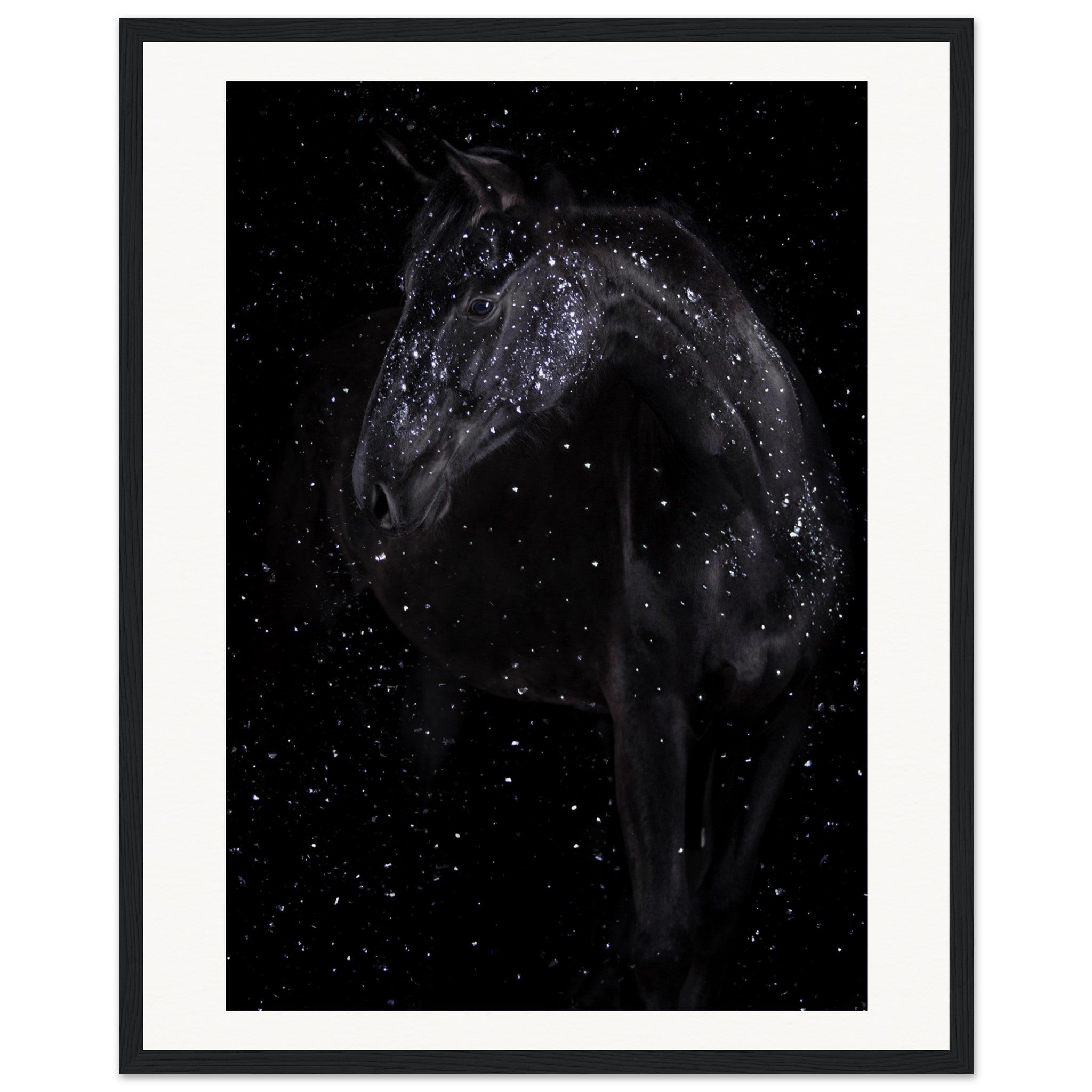 9c06595d-db67-4108-9fe3-7cf968279310