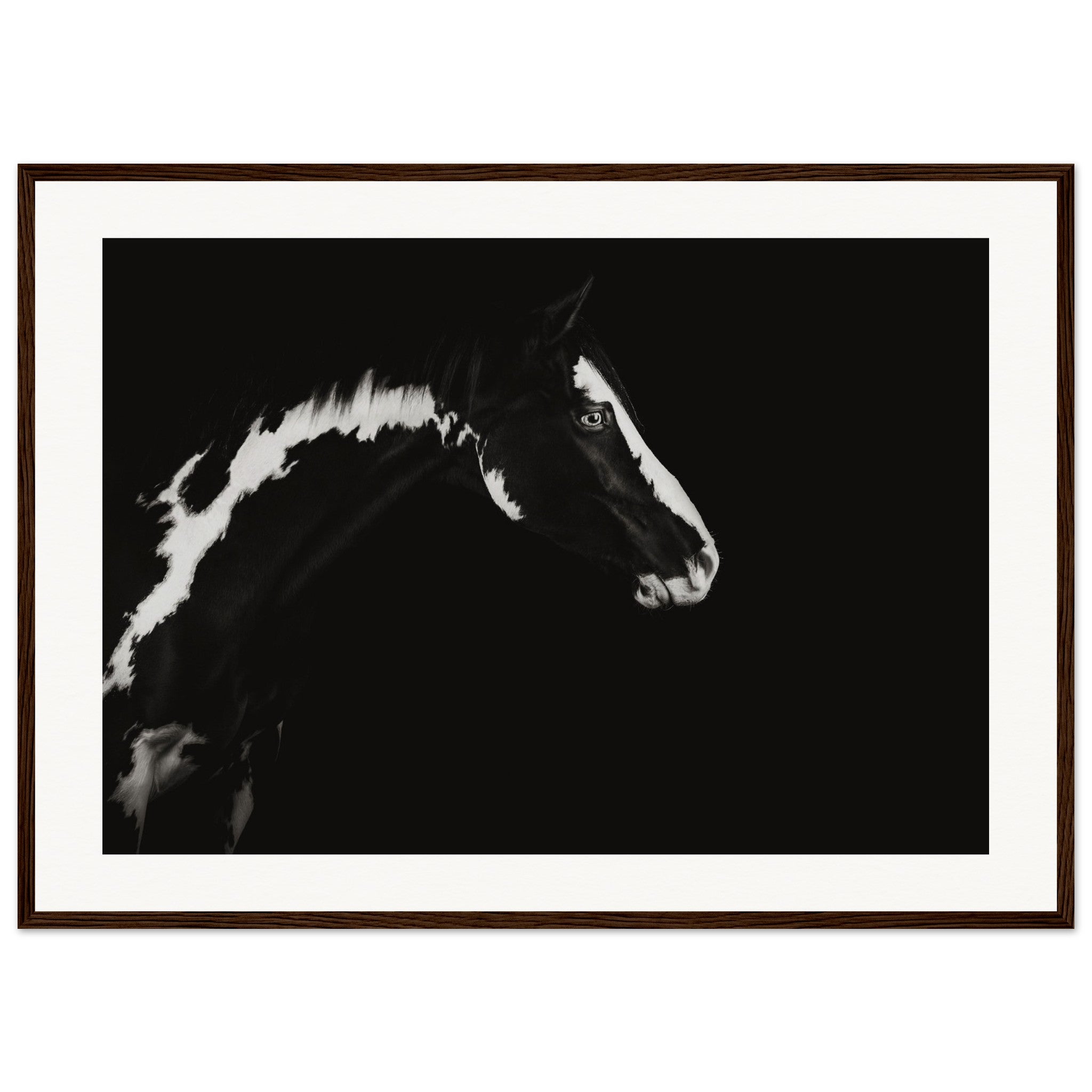 9c49e8f0-5476-431d-88d2-afbb08e31587