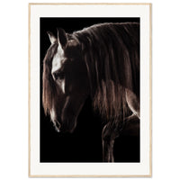 9c750dee-19f7-418e-a581-9fe3975602fc