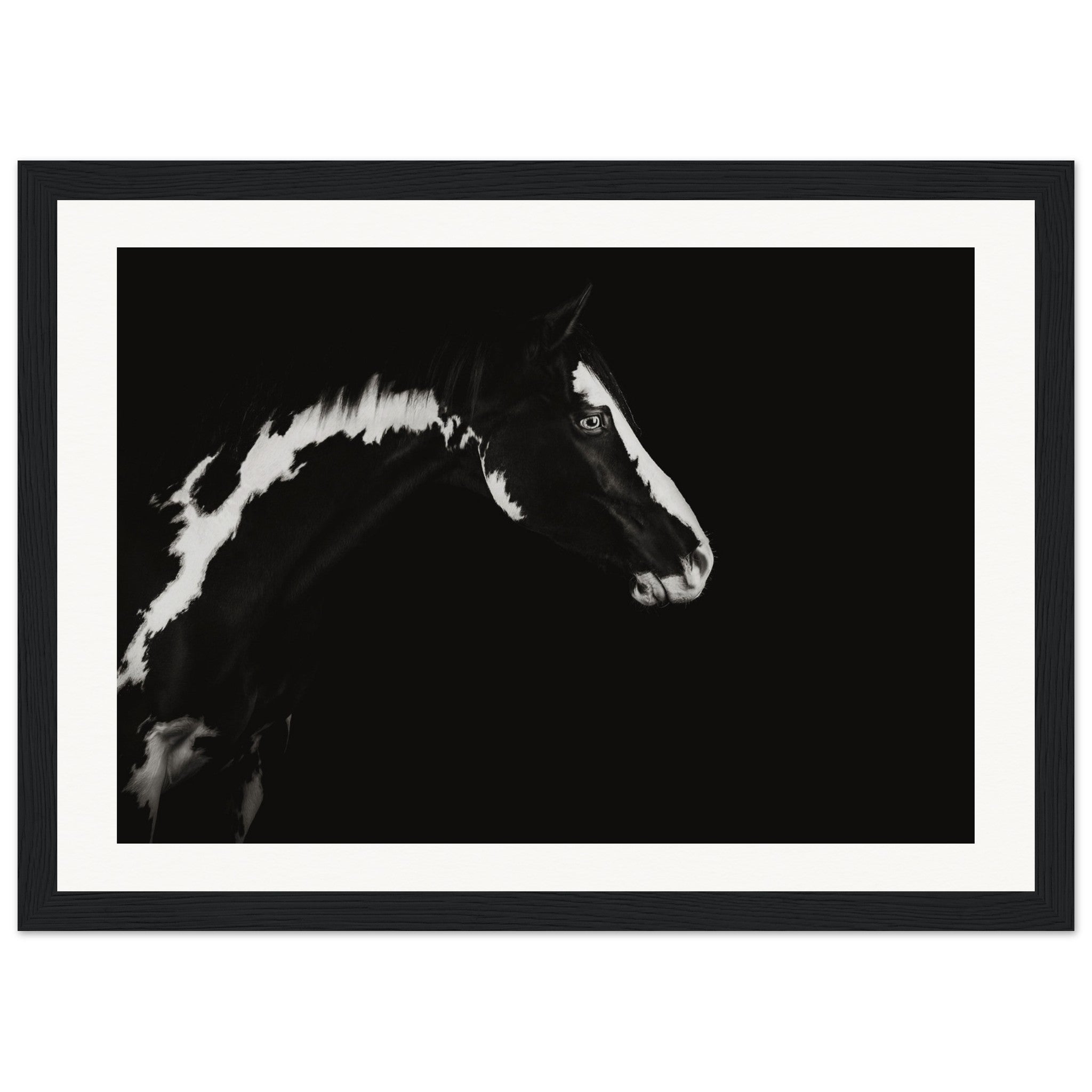 9c7fdee1-dff2-4a98-866d-5da3c93d25fd