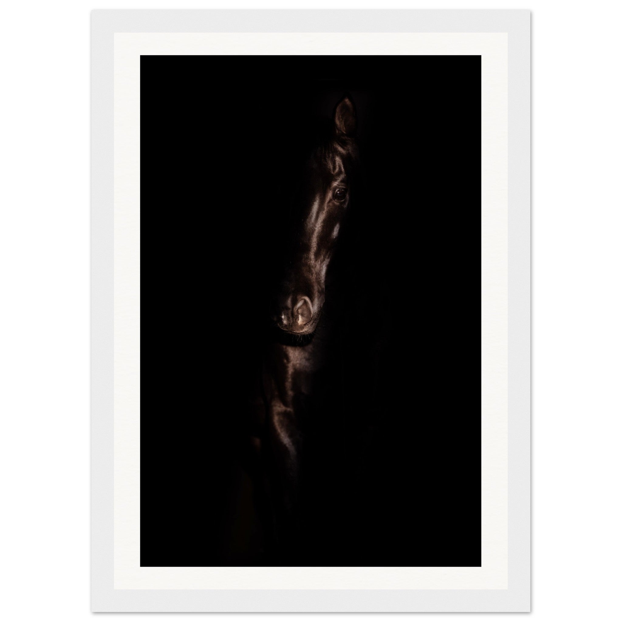 9c8af244-bc73-48b2-a9cb-ec964a21686d