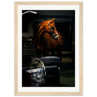 9ca2302d-e54b-41cd-af49-478ecccf673d