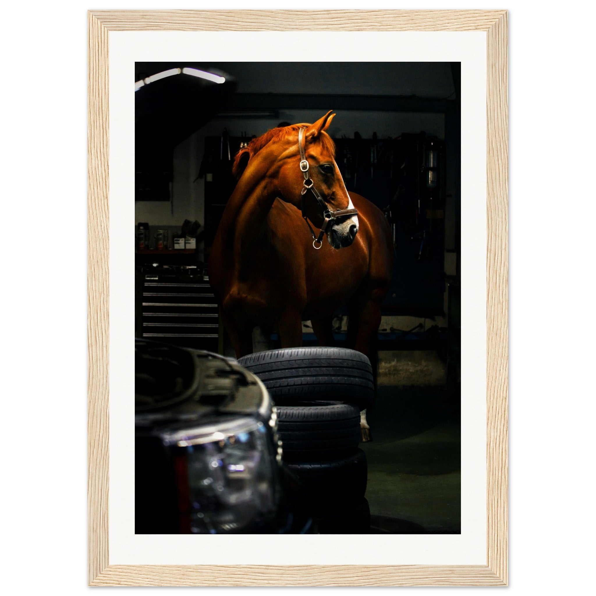 9ca2302d-e54b-41cd-af49-478ecccf673d