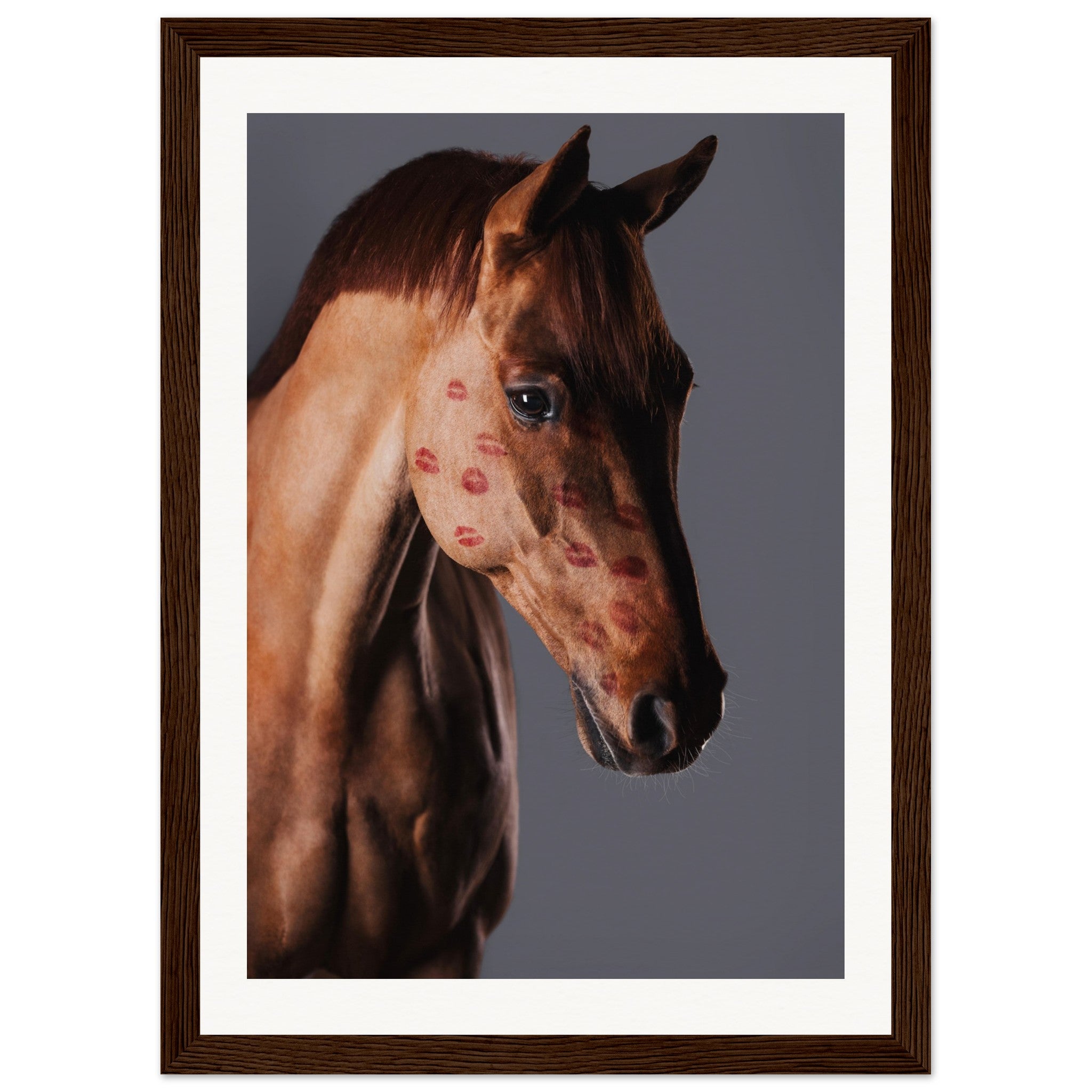 9cc1b865-b6e9-4ddb-8919-89e54cd2731c