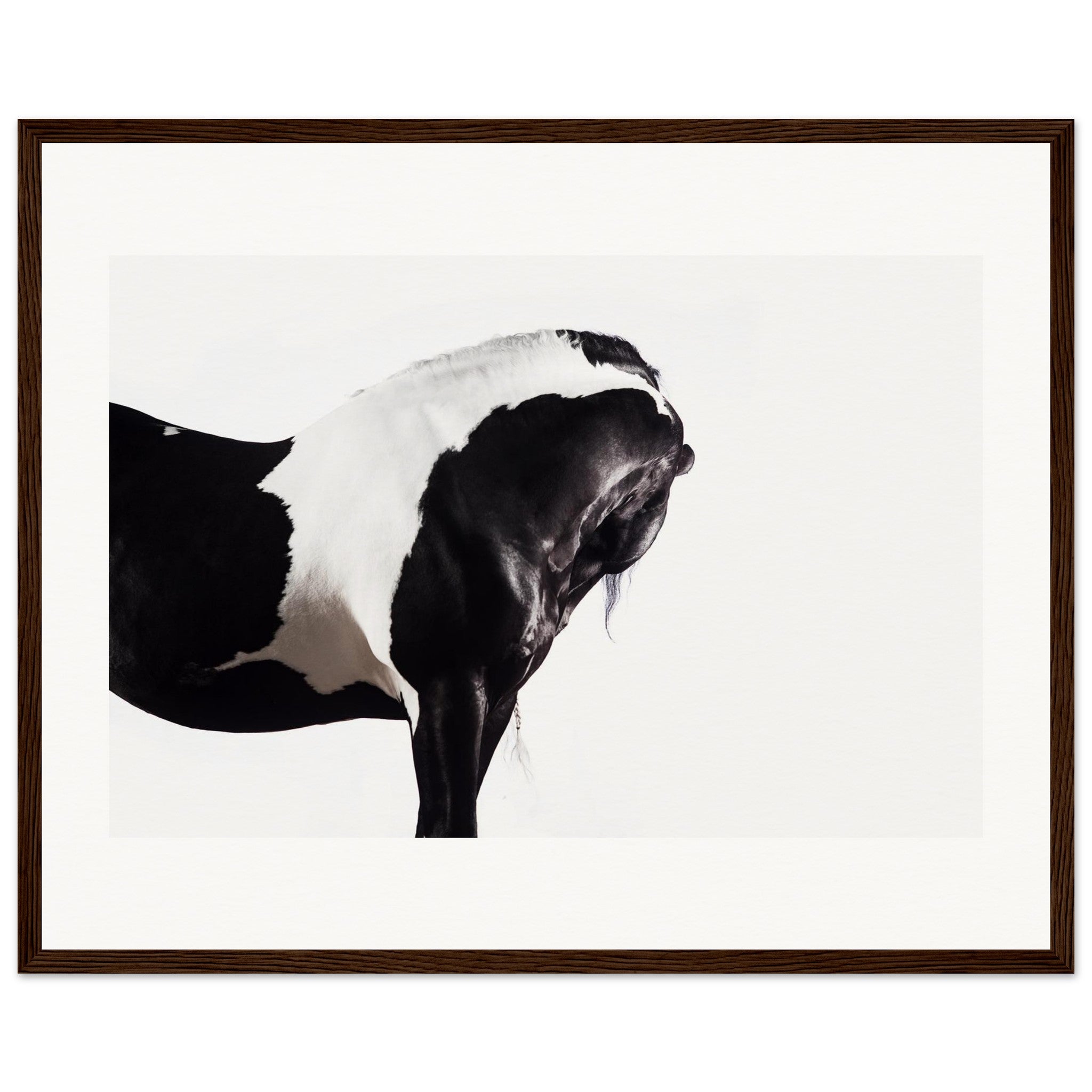 9ce17c39-1962-4e08-b762-0c264d17bdd9