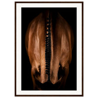 9d02baf8-f675-4134-86e2-26be437f568d