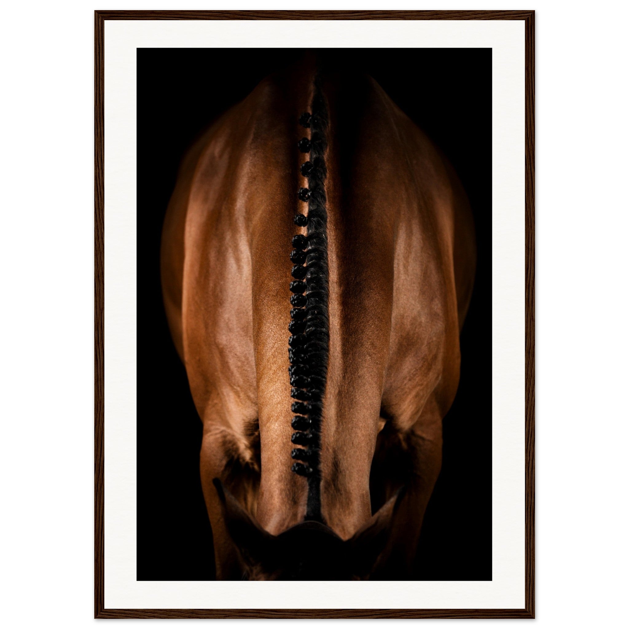 9d02baf8-f675-4134-86e2-26be437f568d