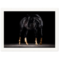 9d176dbf-57e8-4773-a5db-10e493b982f1