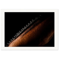 9d2434a1-7c04-46be-a59f-2c97506ba2c4