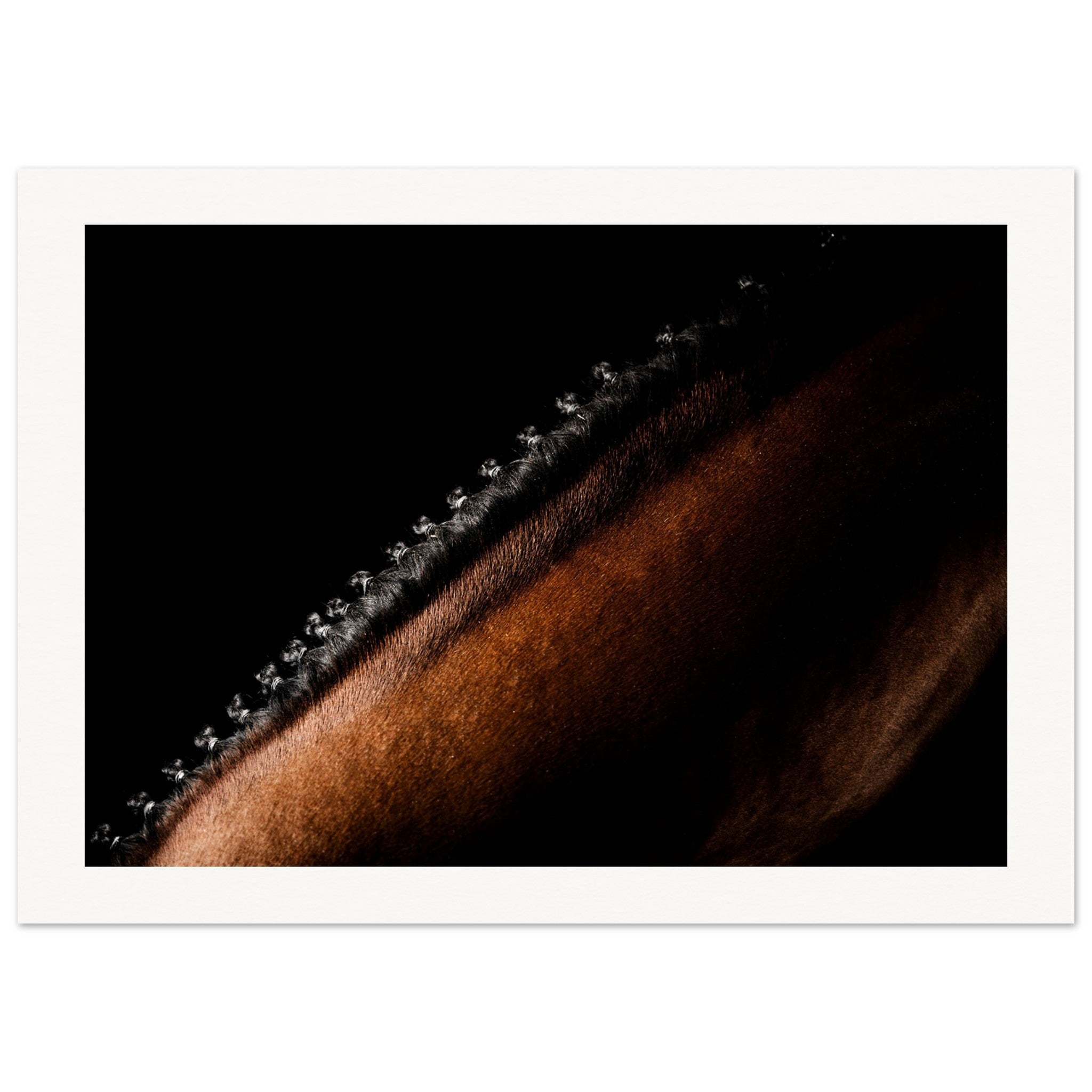 9d2434a1-7c04-46be-a59f-2c97506ba2c4