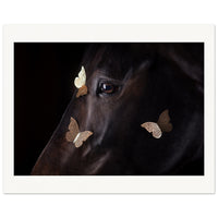 9d447a46-e7c2-4447-9691-4015871173a2