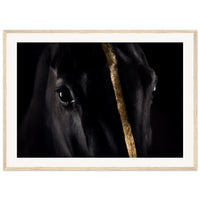 9d498d27-9608-4be3-987a-e0ed0a1fea55