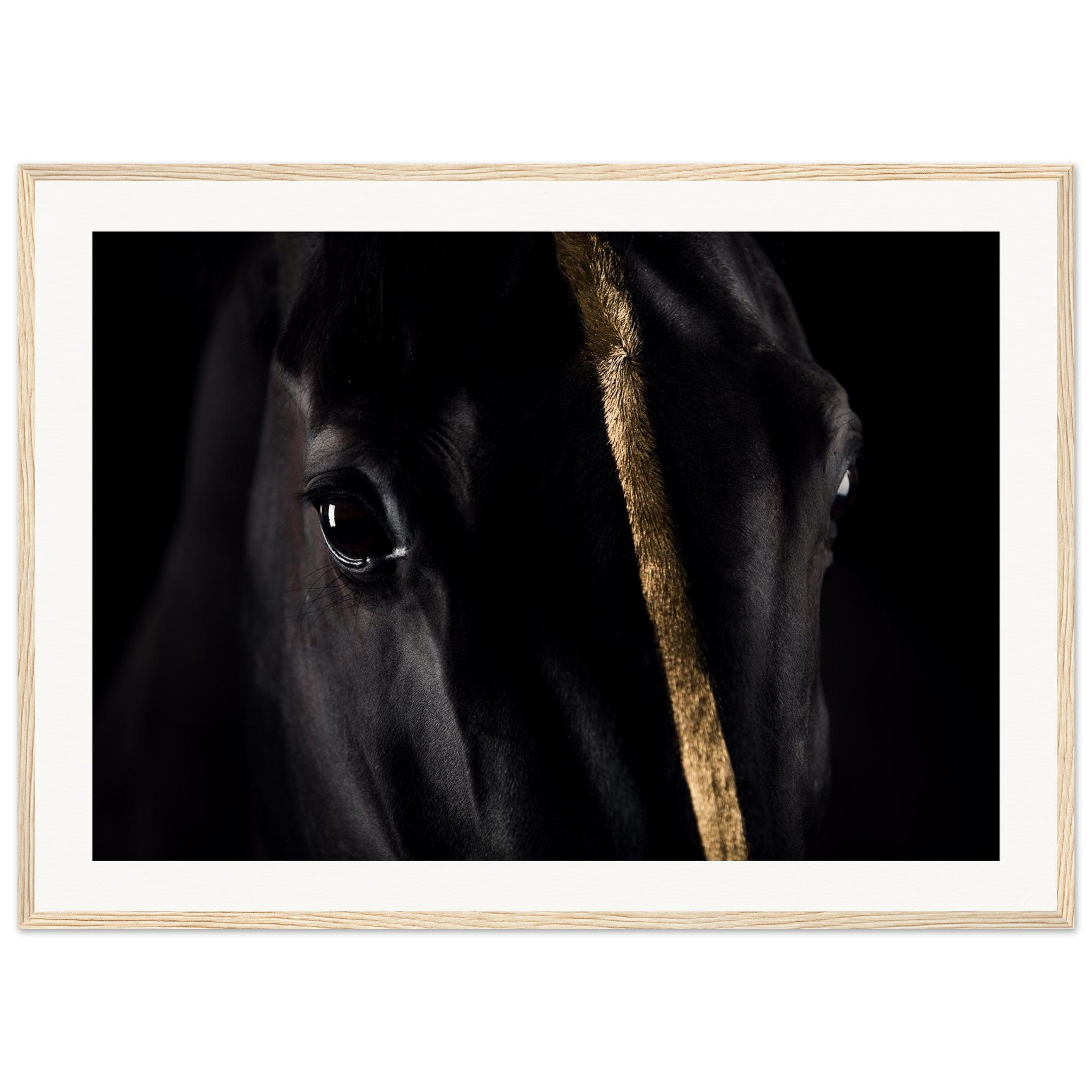 9d498d27-9608-4be3-987a-e0ed0a1fea55