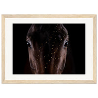 9db756e4-9437-4014-b7d9-9ab570734509