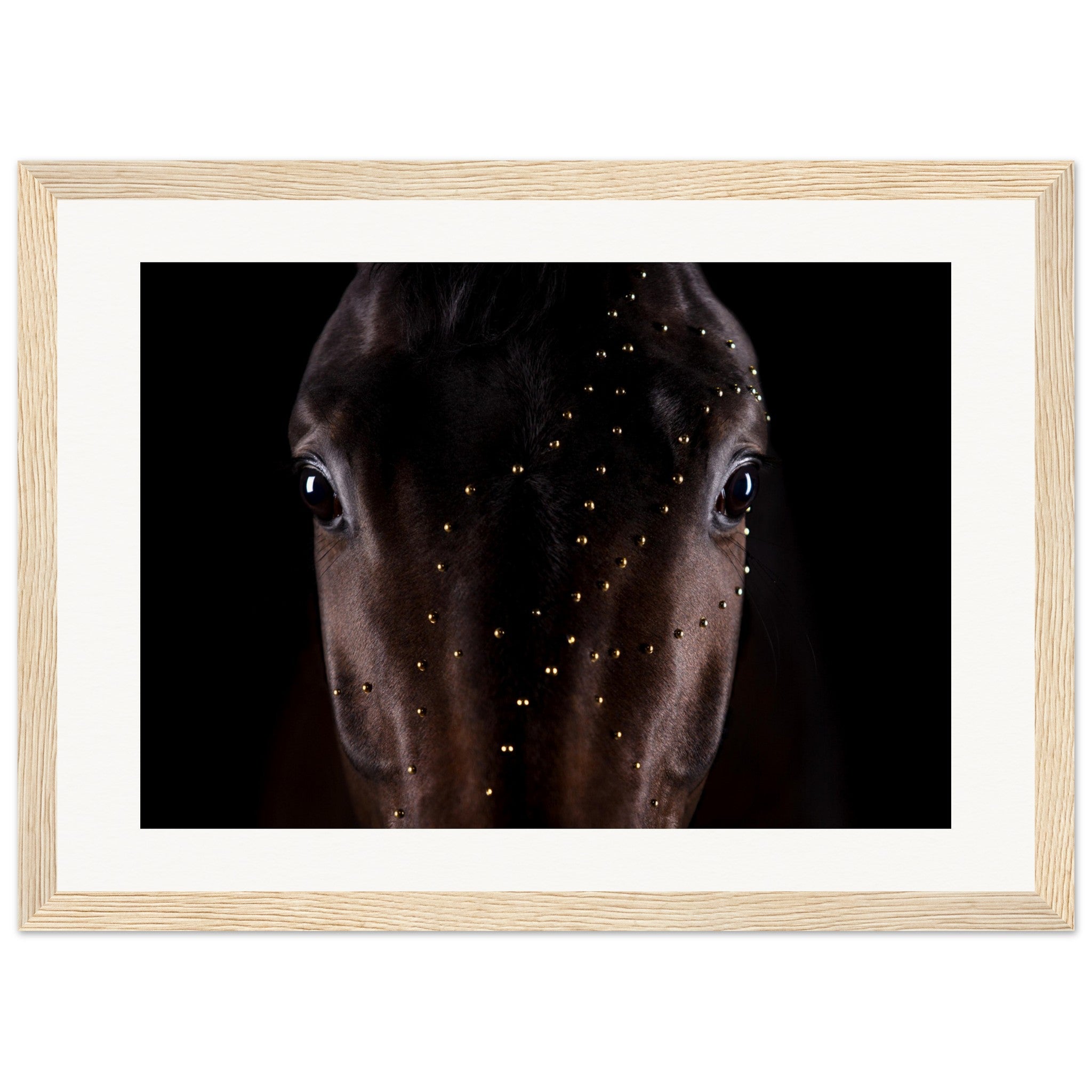 9db756e4-9437-4014-b7d9-9ab570734509