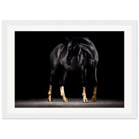 9e26c947-15df-4c21-bcd2-5f5a976f7a9a