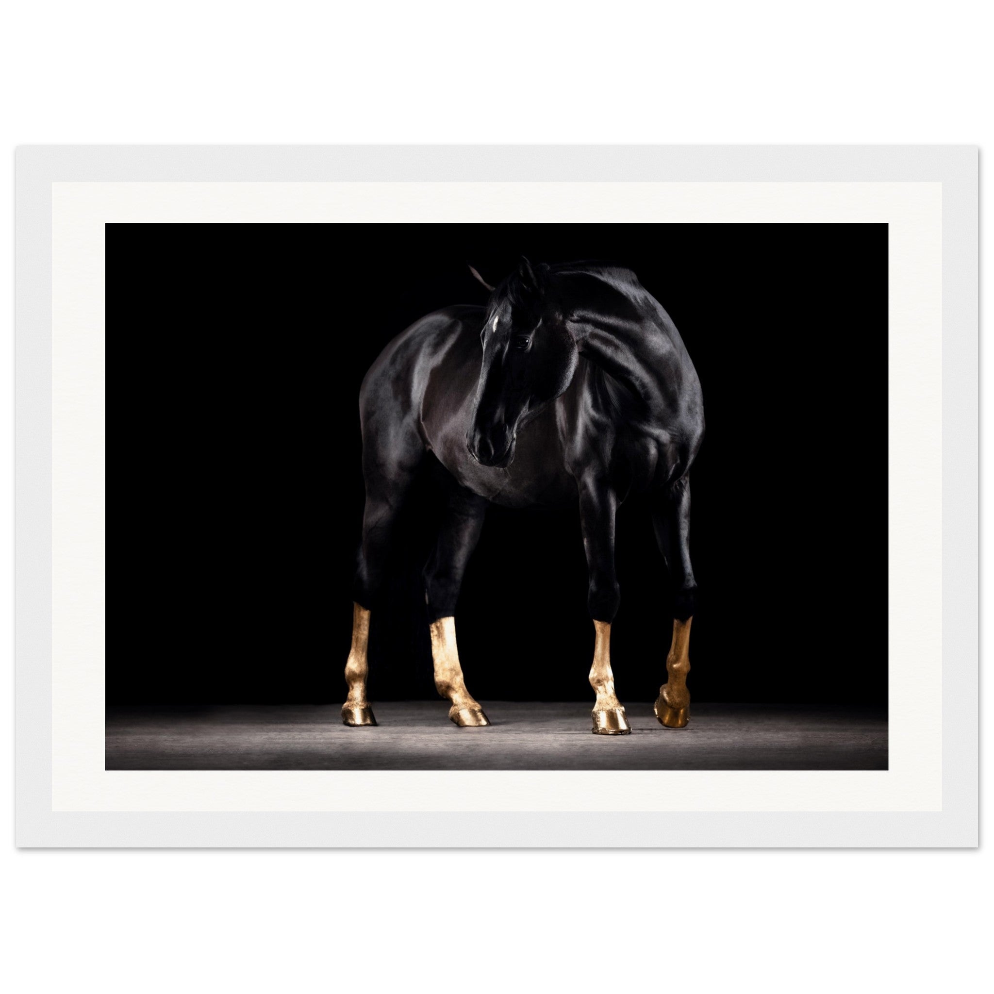 9e26c947-15df-4c21-bcd2-5f5a976f7a9a