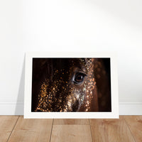 9e521c29-90c9-49ac-adc9-1557a1b57c39