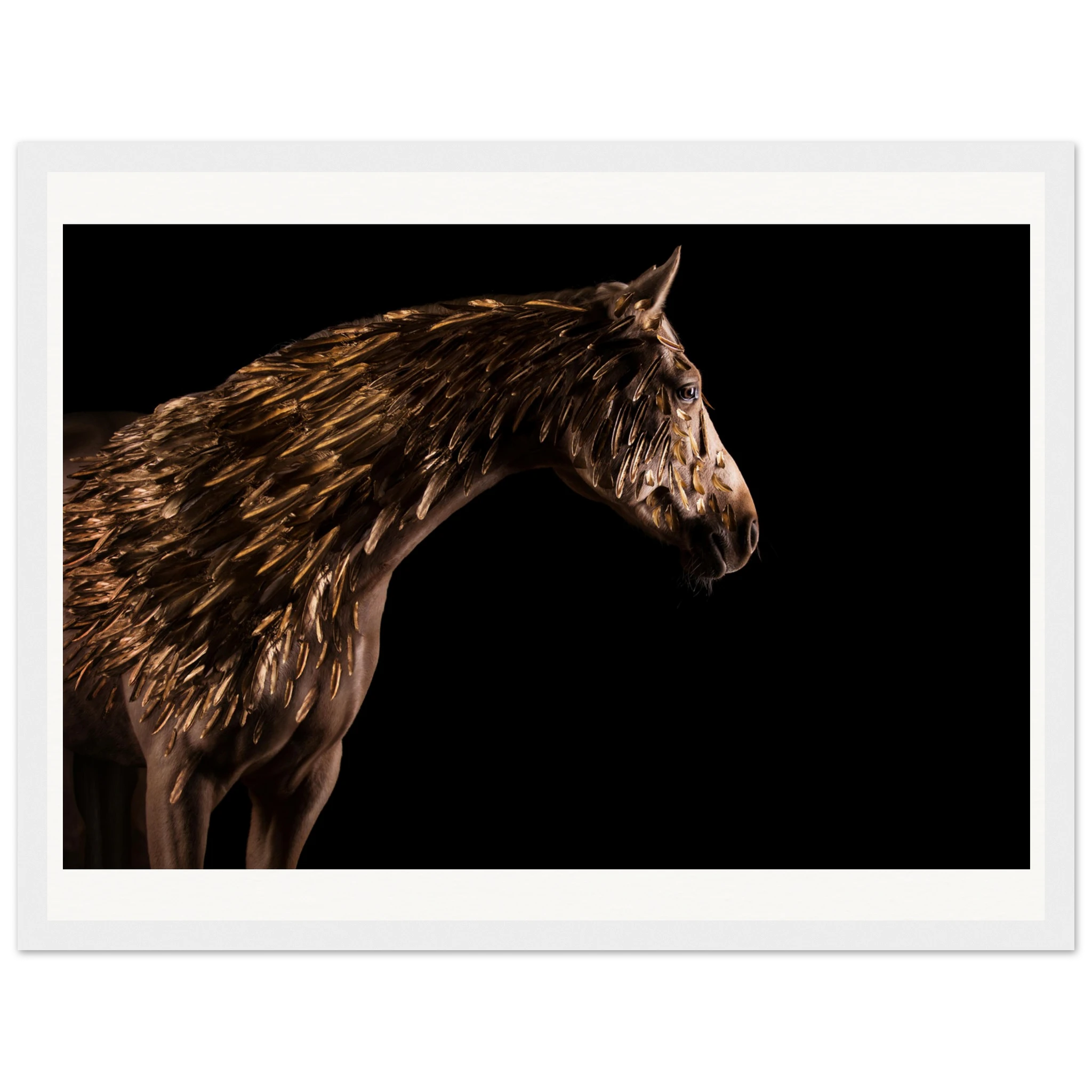 9e625405-a16d-49e3-a24c-b86a52dd06c9