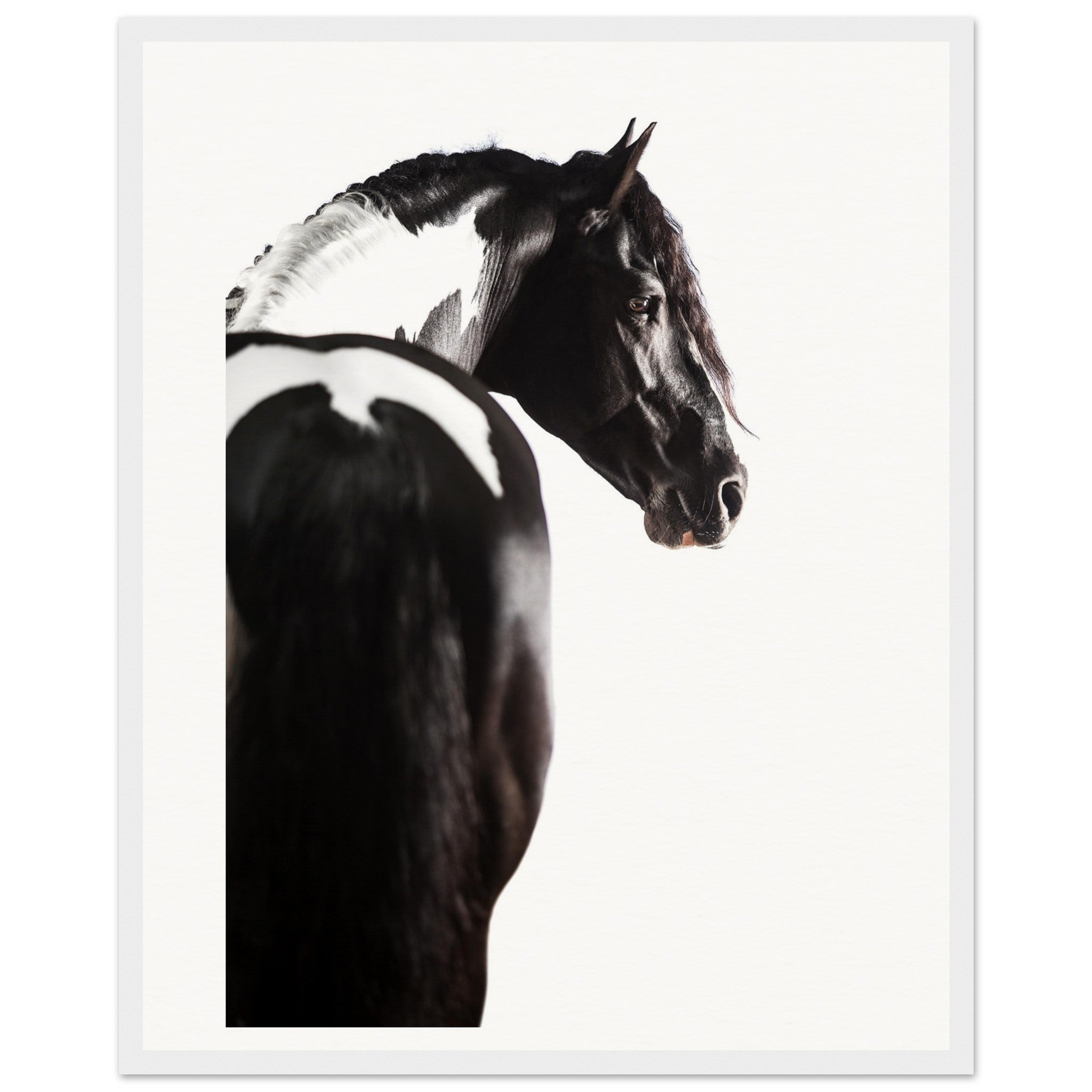 9e766ab1-d8e6-40d6-9b2c-4672d9e23a6a