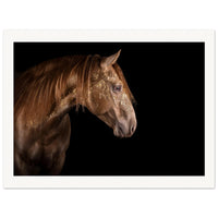 9e7e5b0b-b4f5-48b3-8559-0a29ecb95c00