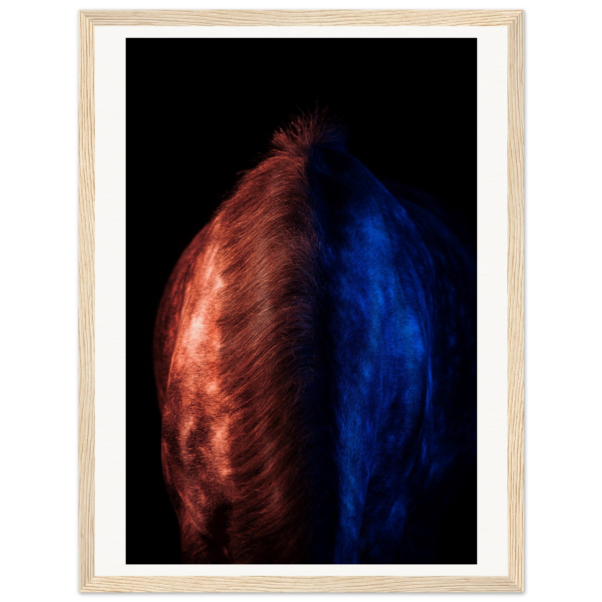 9e988564-a1e2-42a6-9a0b-e2a77774e57c