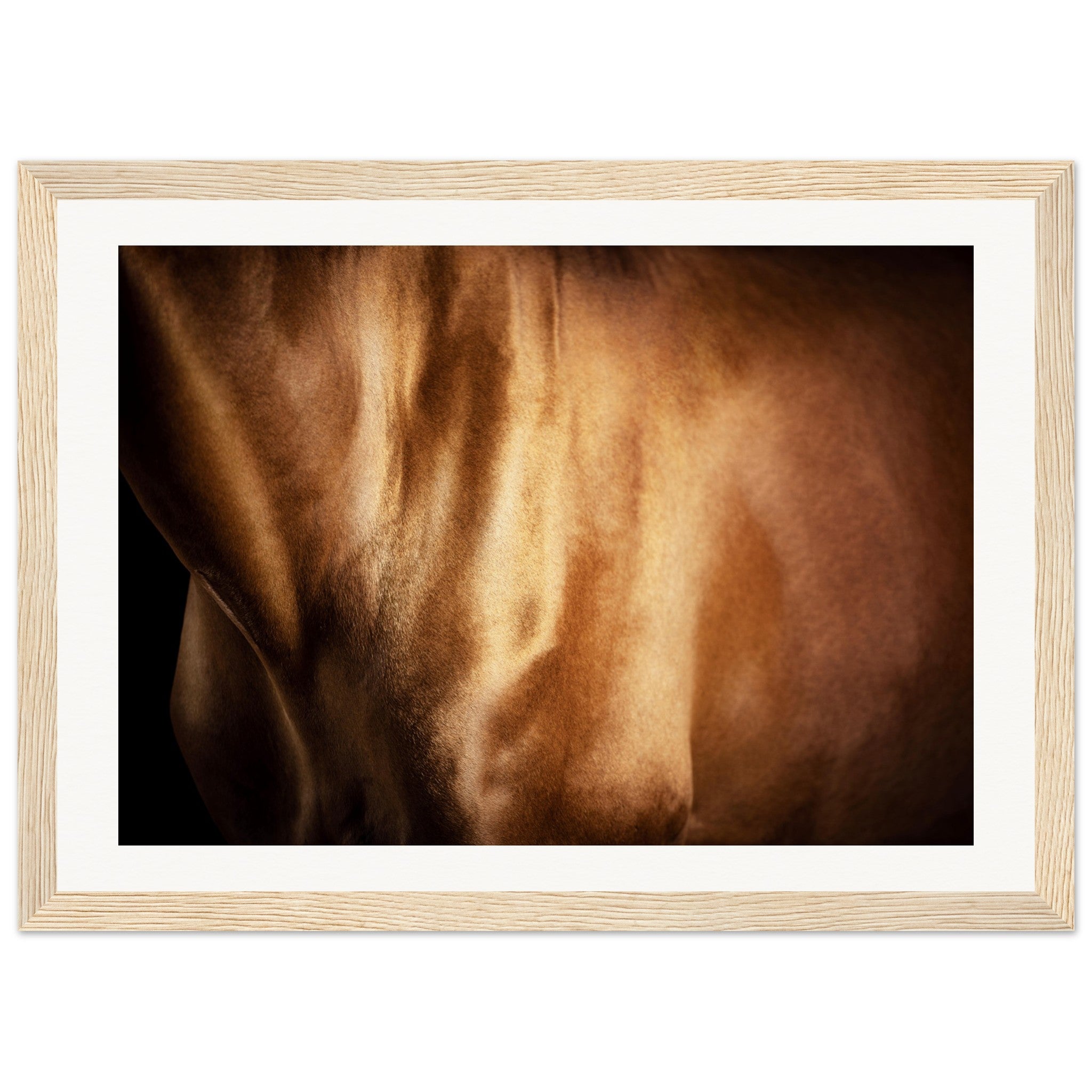 9e9aff8e-ed03-484b-9286-683863171692