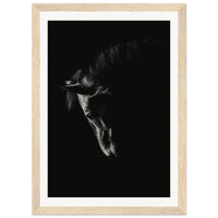 9ea4acf2-1a28-4421-a84c-7b8fa25ceaca