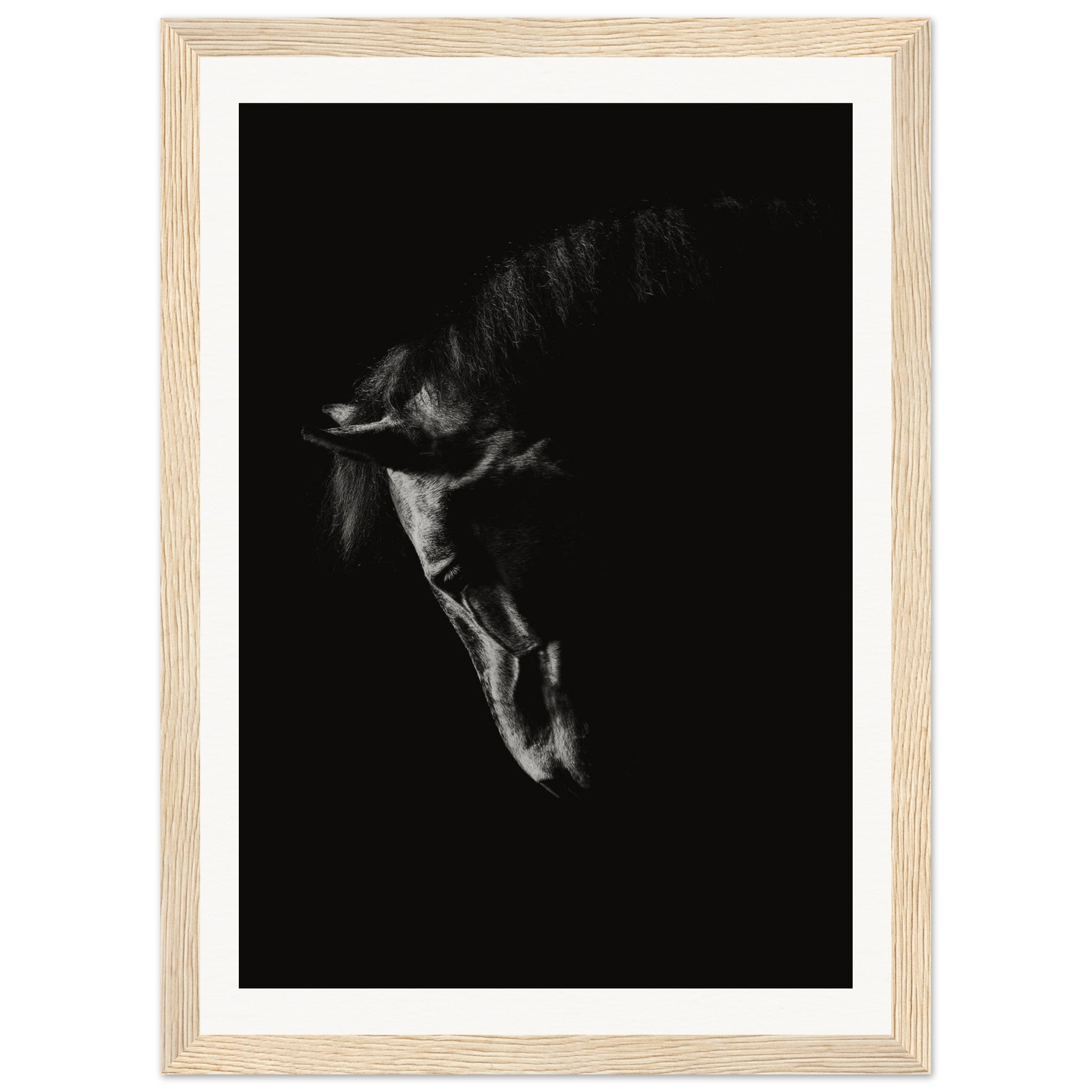 9ea4acf2-1a28-4421-a84c-7b8fa25ceaca