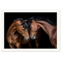 9ec74831-1f9e-4ef6-a176-e345f12c86b8