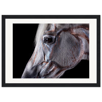 9f18b372-2a04-48c4-b020-b98b70423d22