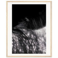 9f1c5288-a238-45f9-bbbc-32d76a6f1505