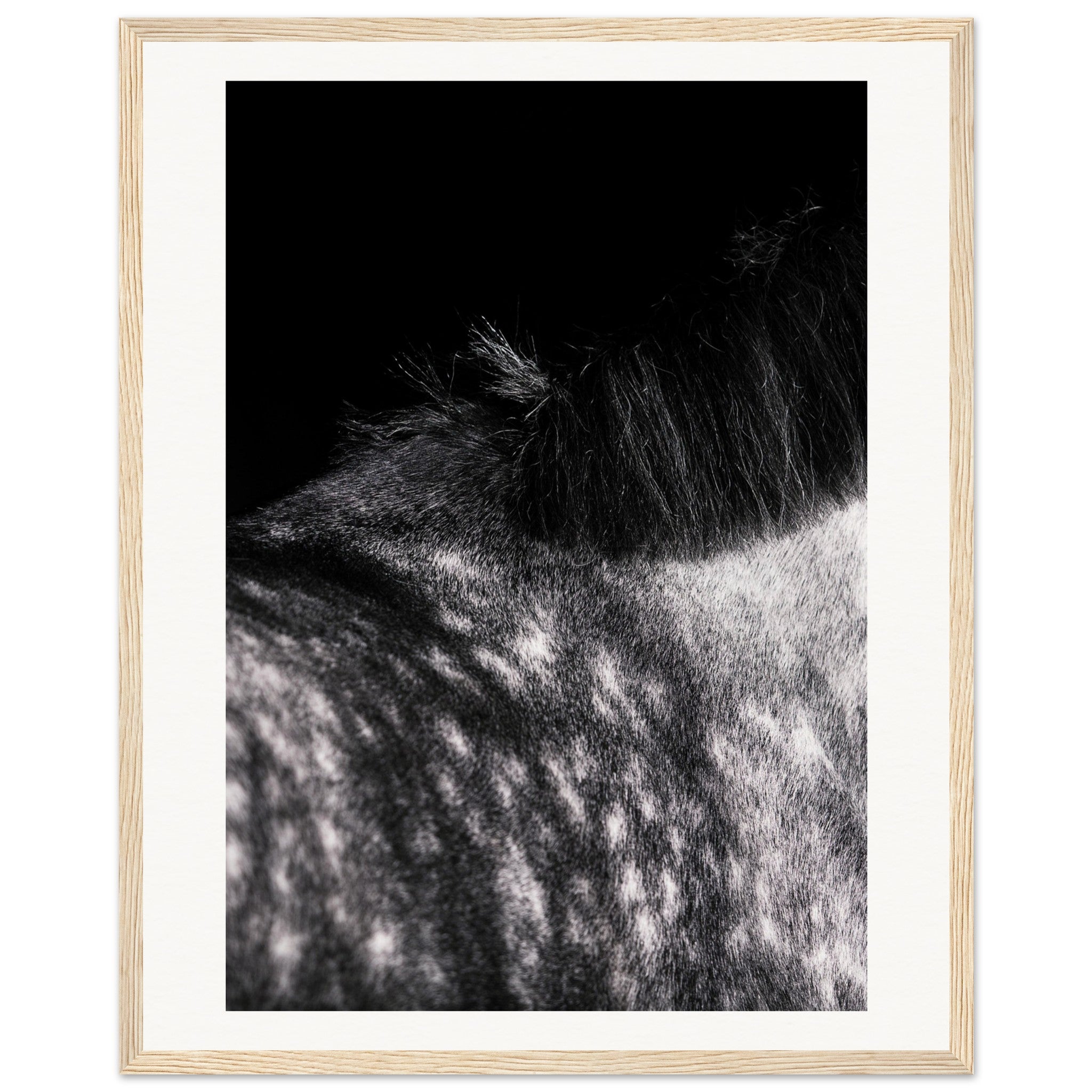 9f1c5288-a238-45f9-bbbc-32d76a6f1505