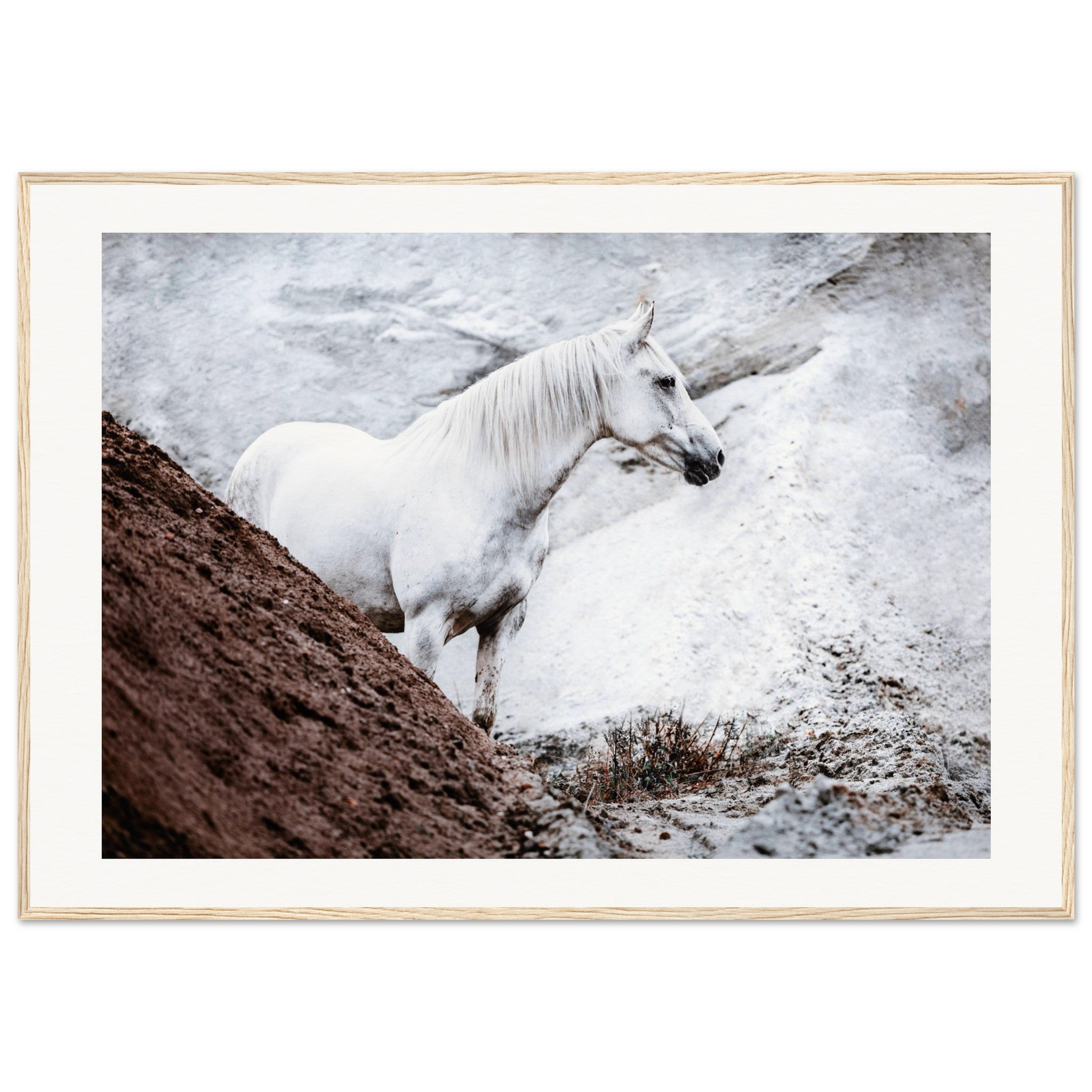 9f2c36e9-0f4e-4163-916c-7b9f751ccf2f