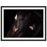 9f6ec64e-de94-4c81-9052-12c04e60898c