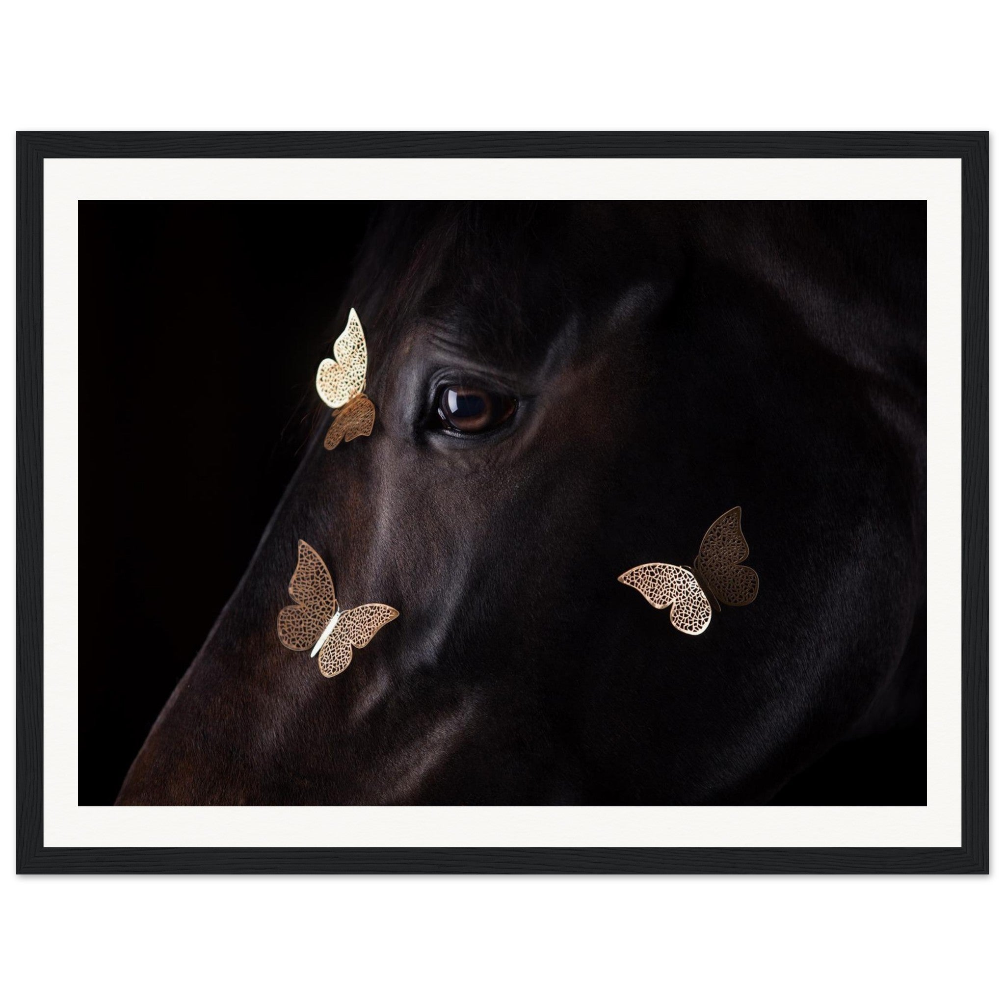 9f6ec64e-de94-4c81-9052-12c04e60898c