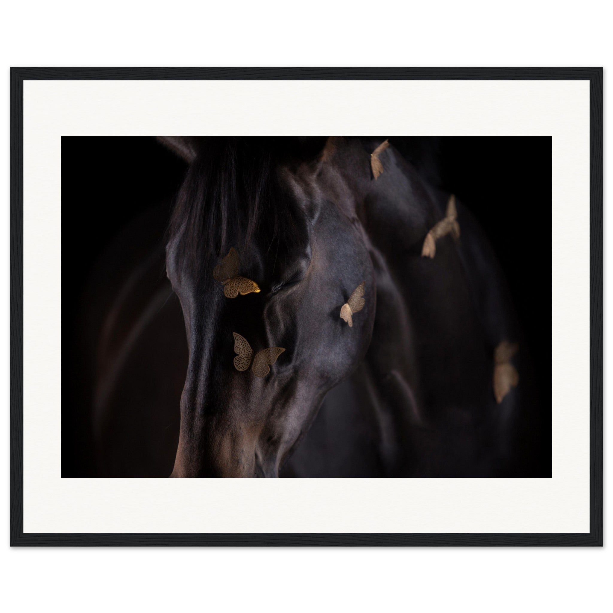 9f8dcbb8-a982-4b5b-9044-592d603cb307