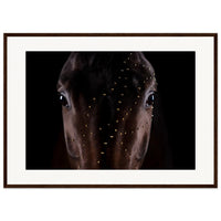 9fc95014-d464-40ef-b564-3c5aeb7deec0