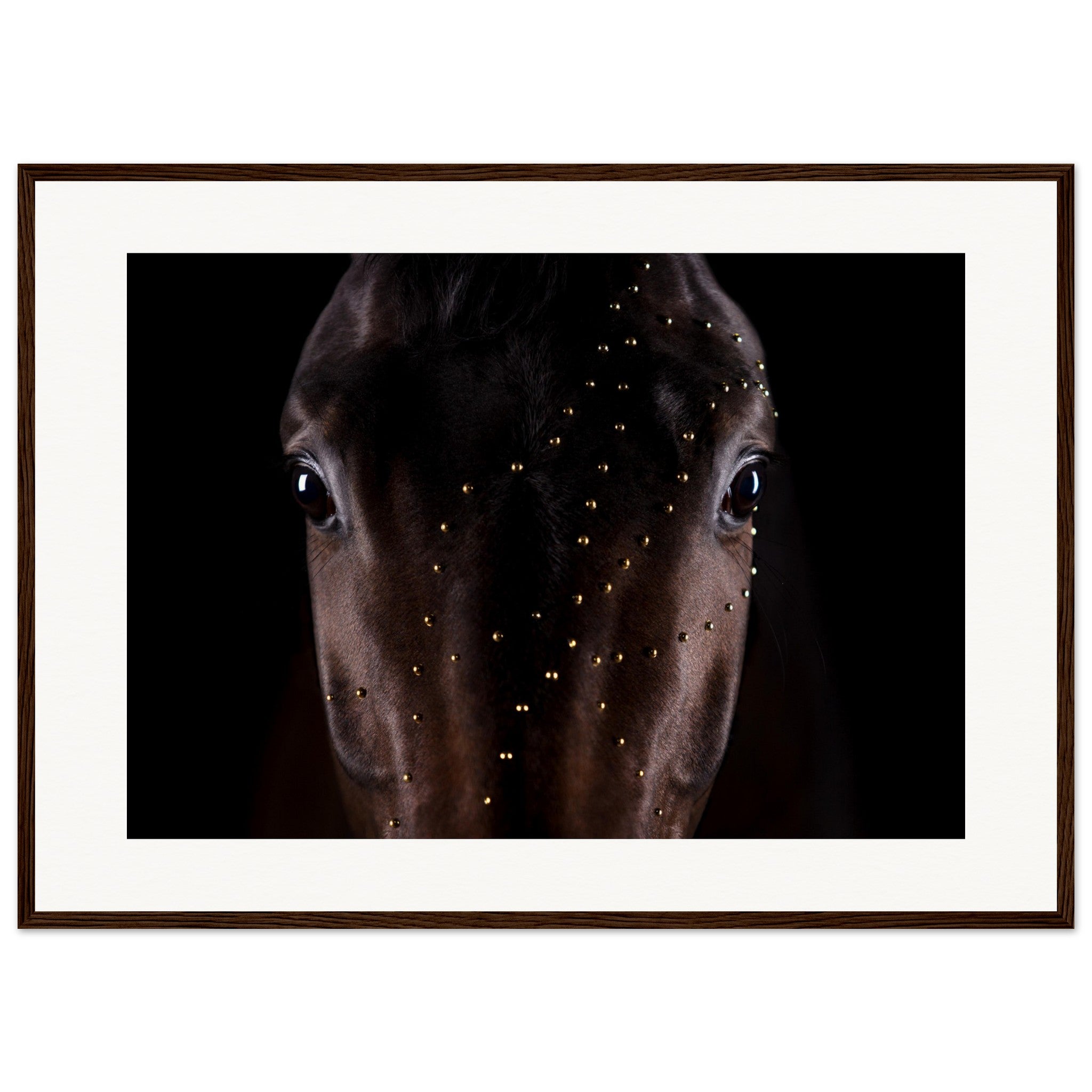 9fc95014-d464-40ef-b564-3c5aeb7deec0