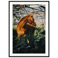 9fddab56-352d-4feb-a120-a341915e9598