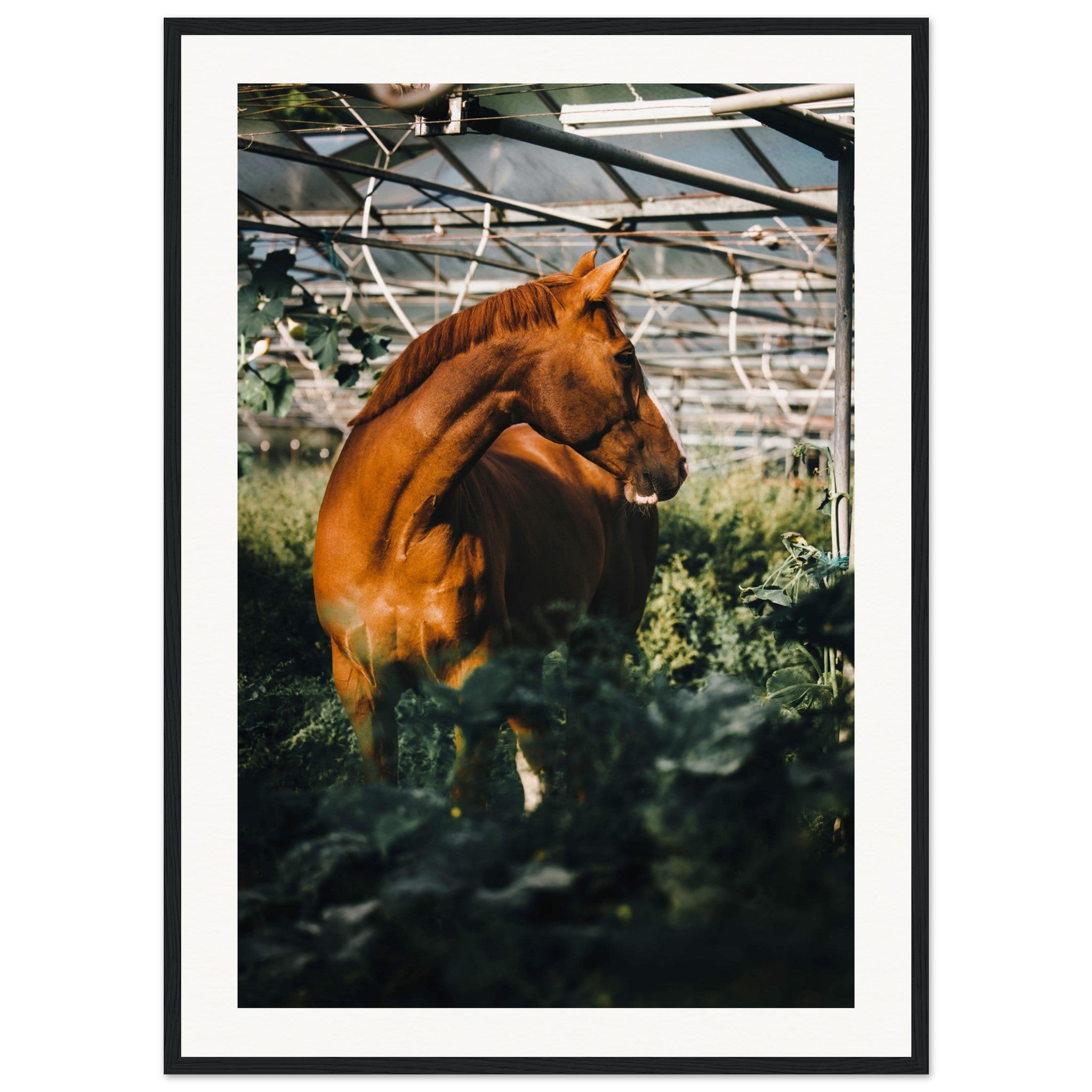 9fddab56-352d-4feb-a120-a341915e9598