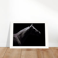 9fecfc5f-1b14-401d-a5c1-3eda4638b428