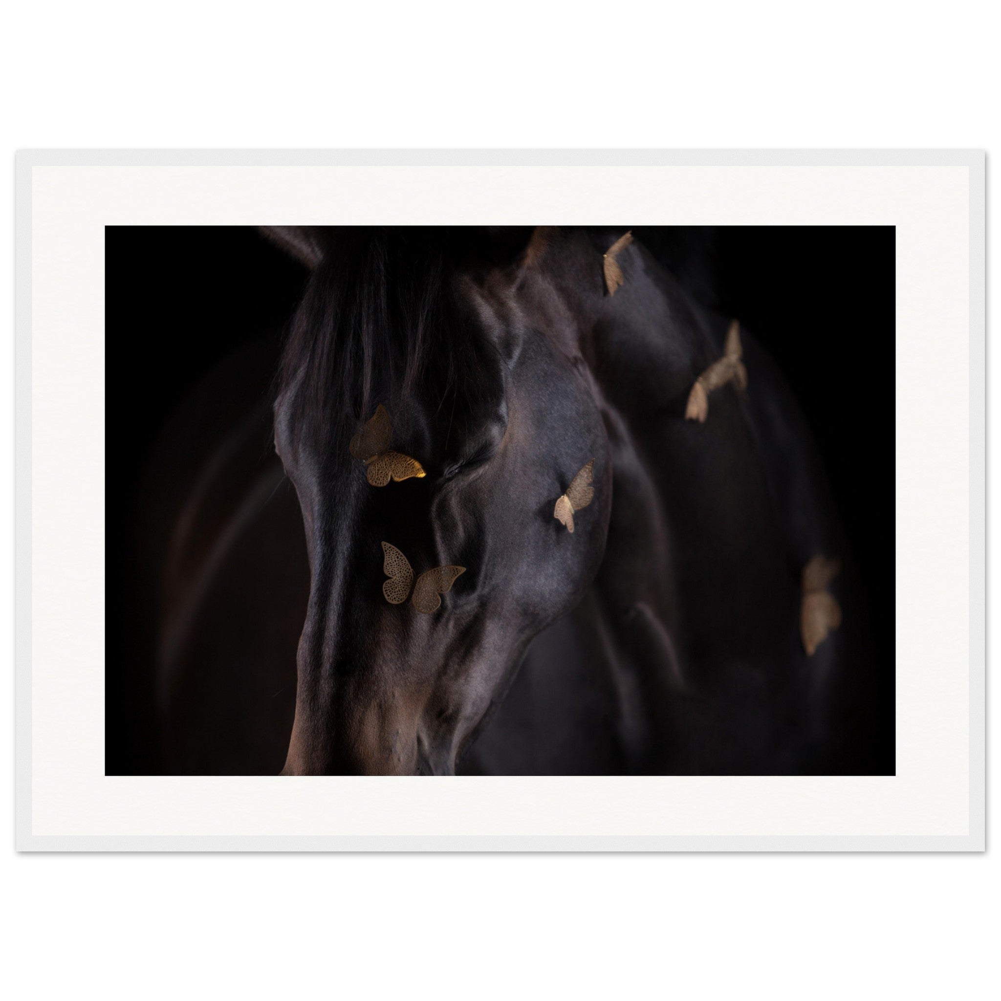 a02392b9-83c6-4f37-8478-992601b54af5